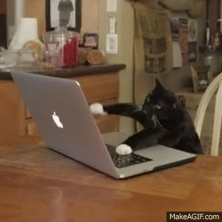 hacker hacker